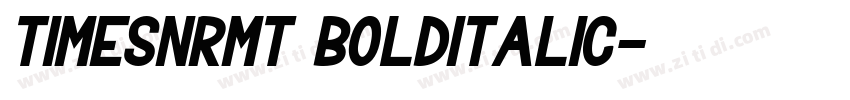 TimesNRMT BoldItalic字体转换 TimesNRMT BoldItalic字体转换